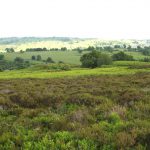 Walking on Stanton Moor